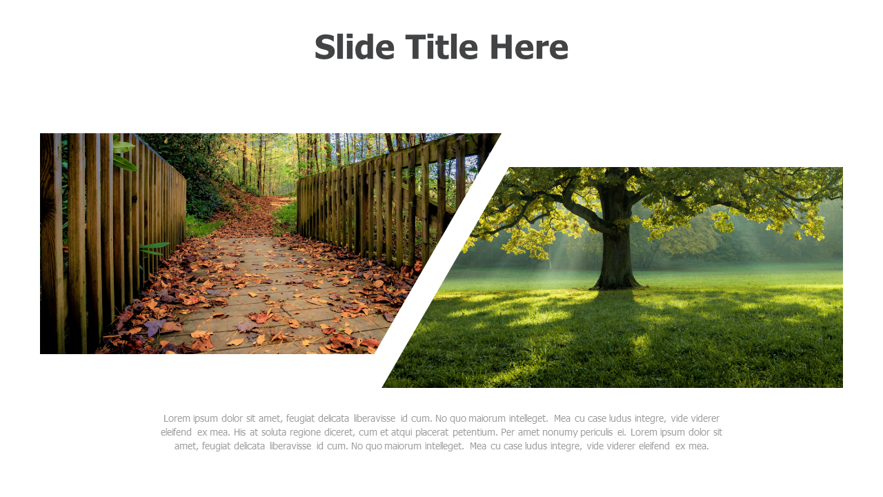 images-placeholders-templates