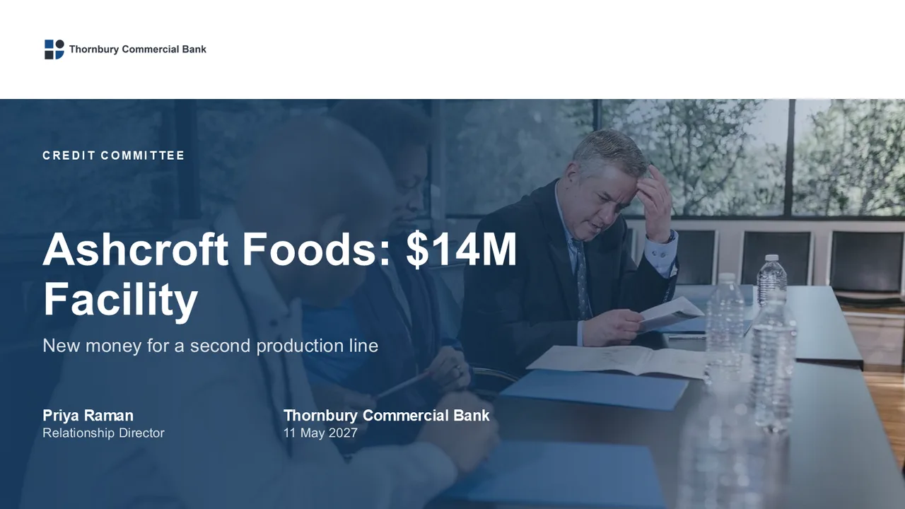 Banking & Financial Services presentation decks — cover of Credit Committee Paper