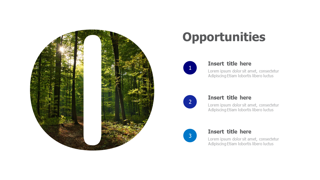 O - Opportunities placeholder 51