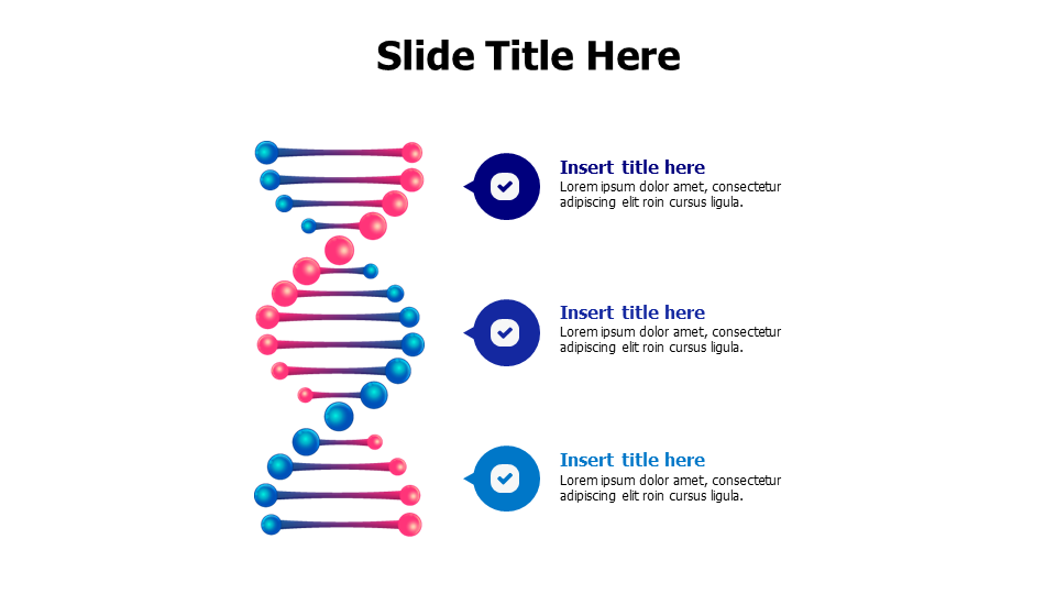 3 points 3D DNA infographic