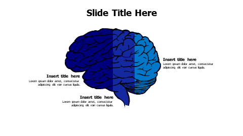 3 points divided doodle brain infographic