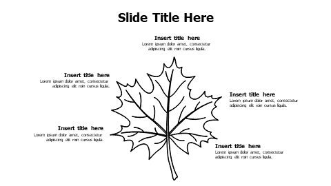 5 points outline leaf infographic