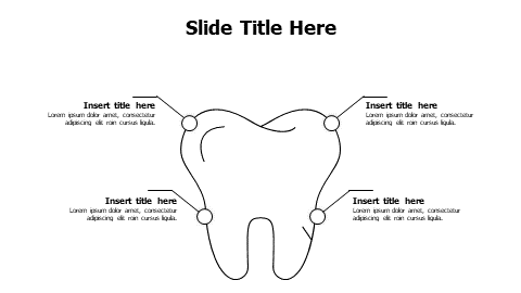 4 points outline tooth infographic