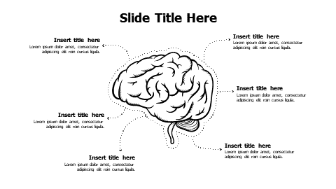 6 points doodle sketchy brain infographic