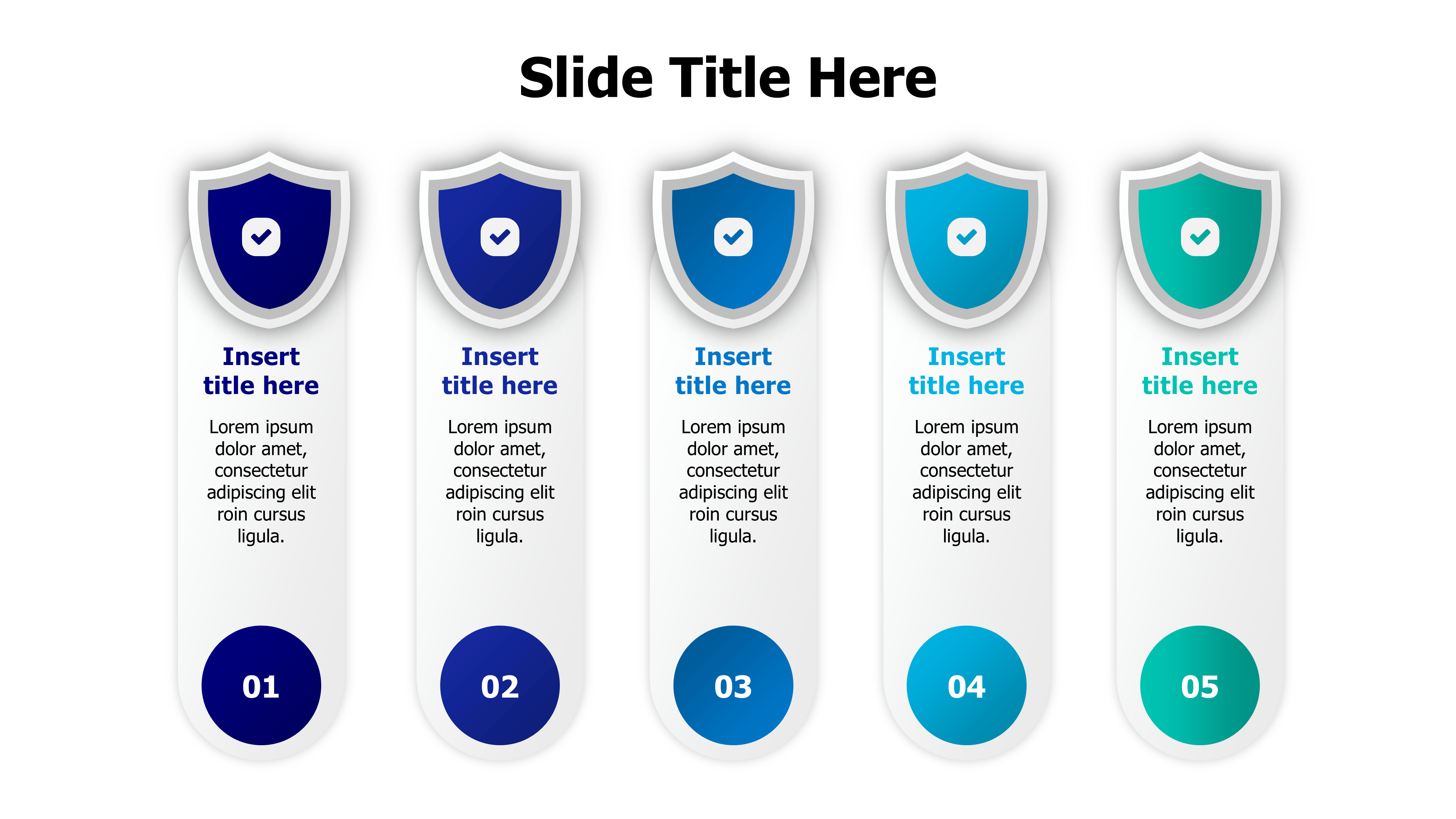 5 points shields infographic