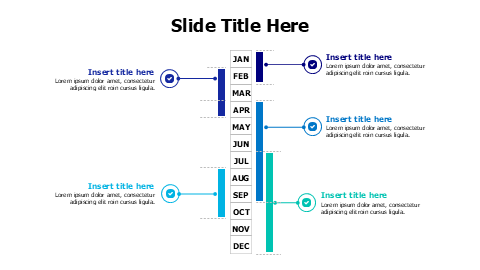 5 points timeline by months infographic