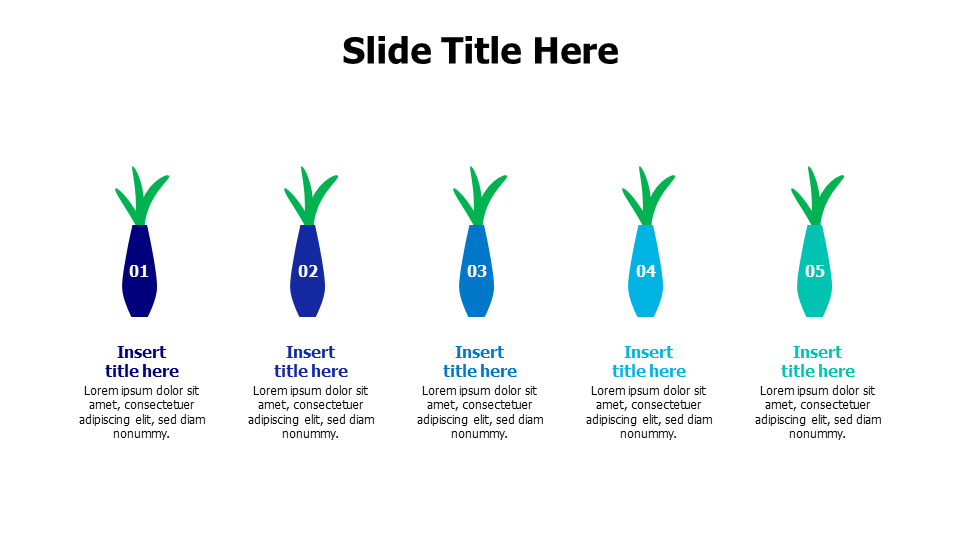 5 colored vases with plants infographic