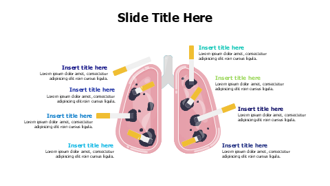 8 points lungs with cigarettes infographic