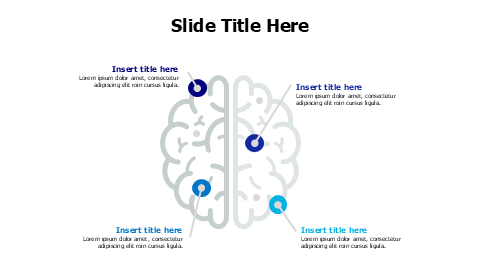 4 colored points from brain infographic