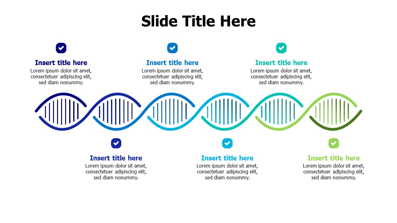 6 points DNA infographic
