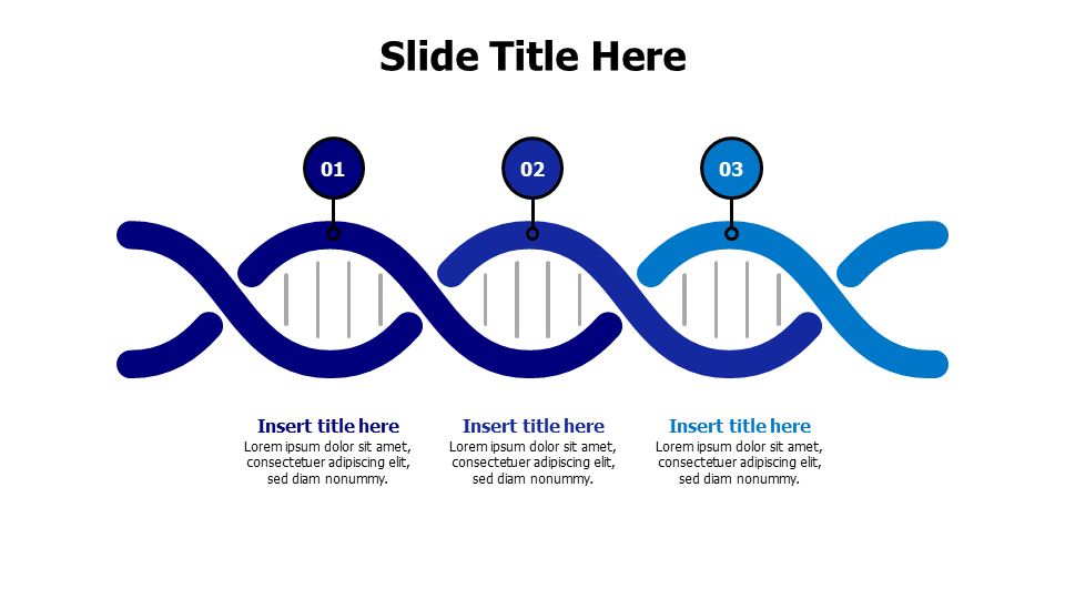 3 points with numbering DNA infographic
