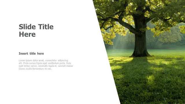 Nature Tree Diagonal Split Layout | PPT Design