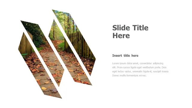 Autumn Forest Path Geometric Chevron Layout | PPT Design