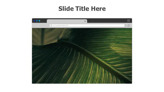 Browser Window Leaf Background Mockup | Devices | PPT Design