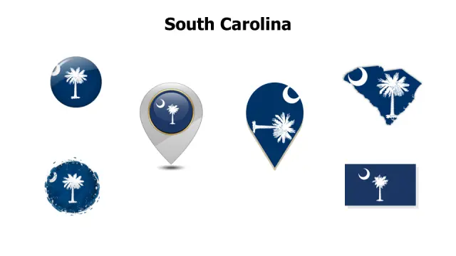 South Carolina Flag Icon Set Collection | Flags | PPT Design
