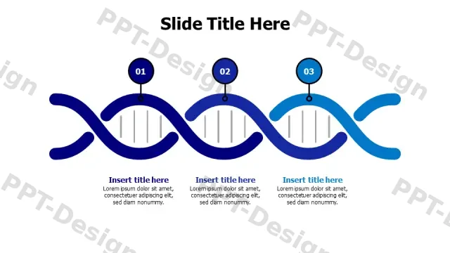 DNA Helix Three Stage Process Infographic | Free PPT Template