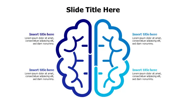 Split Brain Hemispheres Four Point Outline | PPT Design