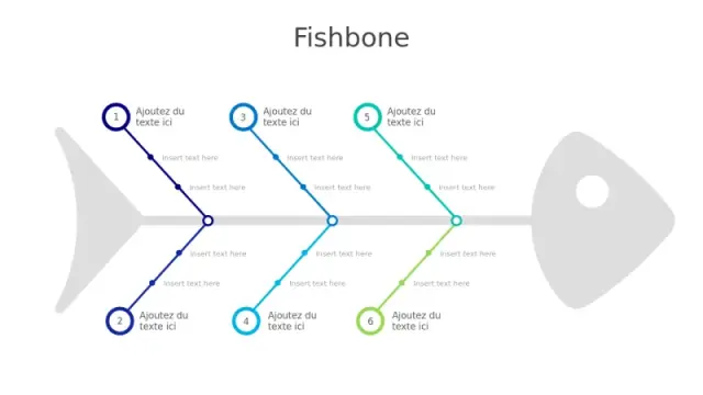 Diagramme d'analyse des causes en arêtes de poâ€¦ | PPT Design