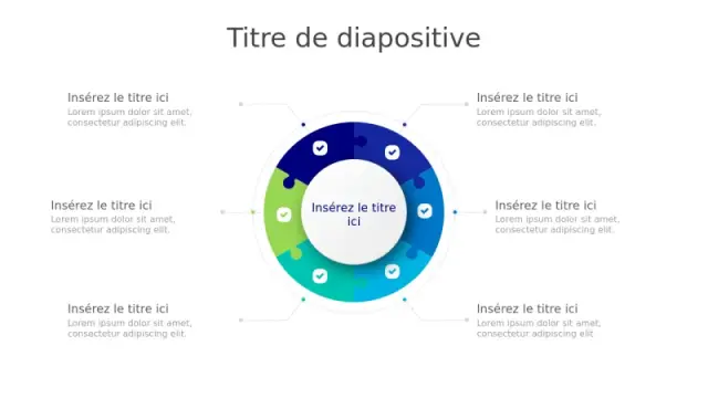 Modèle Infographie Puzzle Circulaire à Six Sections