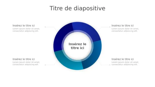 Infographie Circulaire en Quatre Sections | PPT Design